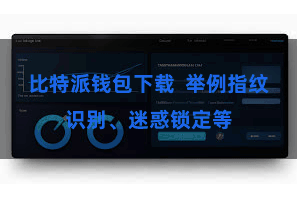 比特派钱包下载 举例指纹识别、迷惑锁定等