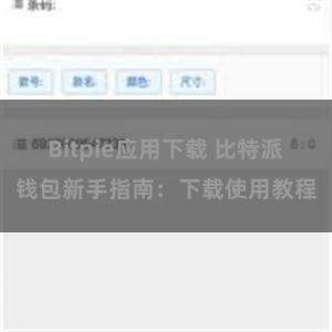 Bitpie应用下载 比特派钱包新手指南：下载使用教程