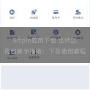 Bitpie应用下载 比特派钱包新手指南：下载使用教程