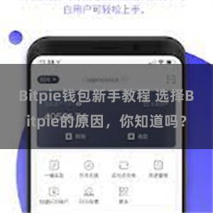 Bitpie钱包新手教程 选择Bitpie的原因，你知道吗？