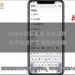 Bitpie安装教程 比特派钱包多链资产管理操作指南