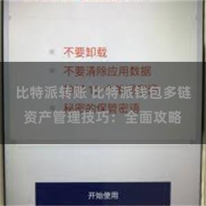 比特派转账 比特派钱包多链资产管理技巧：全面攻略