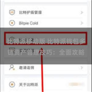 比特派移动版 比特派钱包多链资产管理技巧：全面攻略