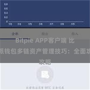 Bitpie APP客户端 比特派钱包多链资产管理技巧：全面攻略