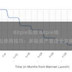 Bitpie私钥 Bitpie钱包使用技巧：多链资产管理全攻略