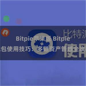 Bitpie苹果版 Bitpie钱包使用技巧：多链资产管理全攻略