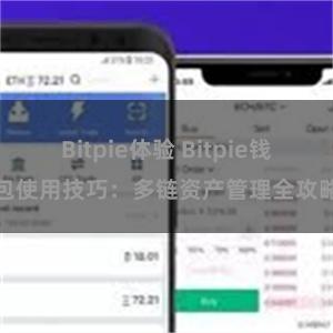 Bitpie体验 Bitpie钱包使用技巧：多链资产管理全攻略