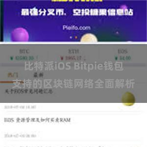 比特派iOS Bitpie钱包支持的区块链网络全面解析