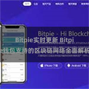 Bitpie实时更新 Bitpie钱包支持的区块链网络全面解析