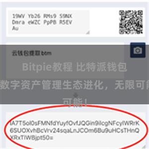 Bitpie教程 比特派钱包：数字资产管理生态进化，无限可能！