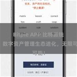 Bitpie APP 比特派钱包：数字资产管理生态进化，无限可能！