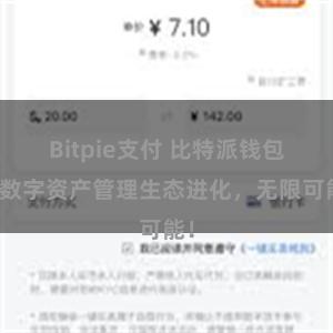 Bitpie支付 比特派钱包：数字资产管理生态进化，无限可能！