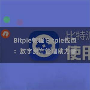 Bitpie教程 Bitpie钱包：数字资产管理助力者