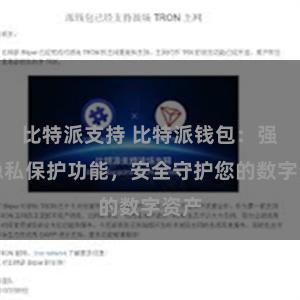 比特派支持 比特派钱包：强大隐私保护功能，安全守护您的数字资产