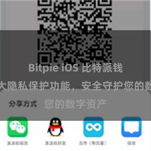 Bitpie iOS 比特派钱包：强大隐私保护功能，安全守护您的数字资产