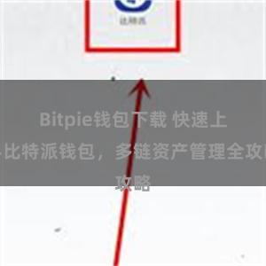 Bitpie钱包下载 快速上手比特派钱包，多链资产管理全攻略