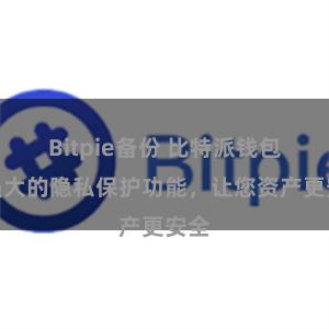 Bitpie备份 比特派钱包：强大的隐私保护功能，让您资产更安全