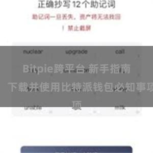 Bitpie跨平台 新手指南：下载并使用比特派钱包必知事项