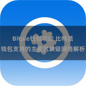 Bitpie钱包功能 比特派钱包支持的主要区块链网络解析