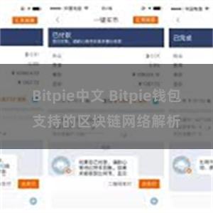 Bitpie中文 Bitpie钱包支持的区块链网络解析