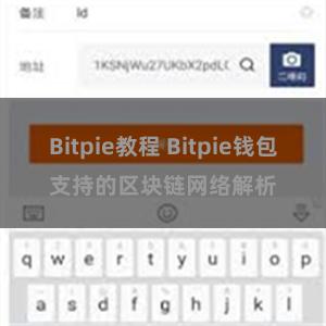 Bitpie教程 Bitpie钱包支持的区块链网络解析