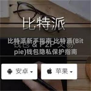 比特派新手指南 比特派(Bitpie)钱包隐私保护指南