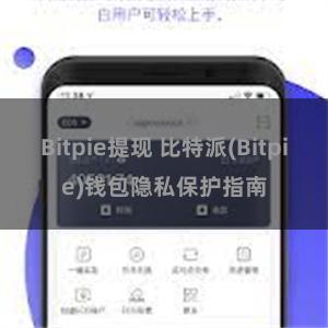 Bitpie提现 比特派(Bitpie)钱包隐私保护指南