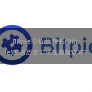 Bitpie隐私 比特派(Bitpie)交易历史记录在哪里查看？