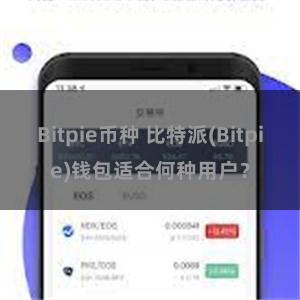 Bitpie币种 比特派(Bitpie)钱包适合何种用户？