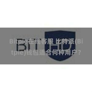 Bitpie在线客服 比特派(Bitpie)钱包适合何种用户？