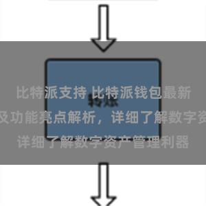 比特派支持 比特派钱包最新版下载教程及功能亮点解析，详细了解数字资产管理利器