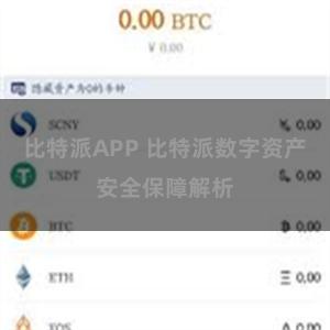 比特派APP 比特派数字资产安全保障解析