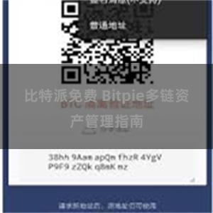 比特派免费 Bitpie多链资产管理指南