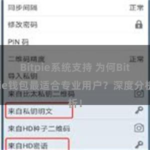 Bitpie系统支持 为何Bitpie钱包最适合专业用户？深度分析！