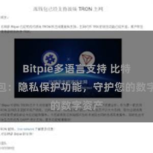 Bitpie多语言支持 比特派钱包：隐私保护功能，守护您的数字资产