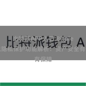 比特派APP入口 Bitpie钱包隐私保护功能解析：资产安全有保障