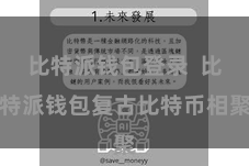 比特派钱包登录  比特派钱包复古比特币相聚